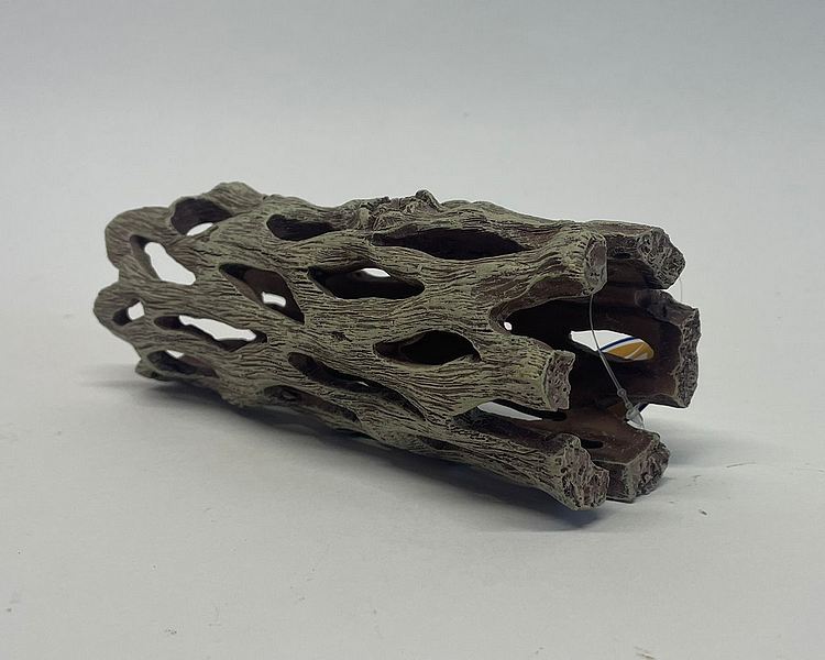 Betta Cholla Wood